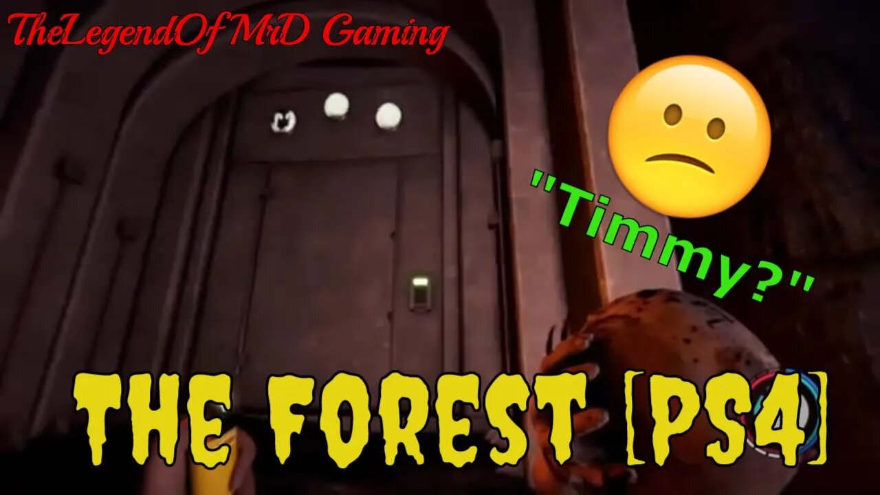 The Forest - Episode 8: Timmy? We're coming to find you! [PS4]