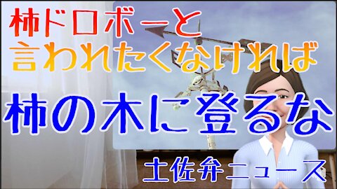 0715 柿ドロボーと言われたくなければ、柿の木に登るな