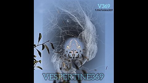 VESPERTINE's WEB