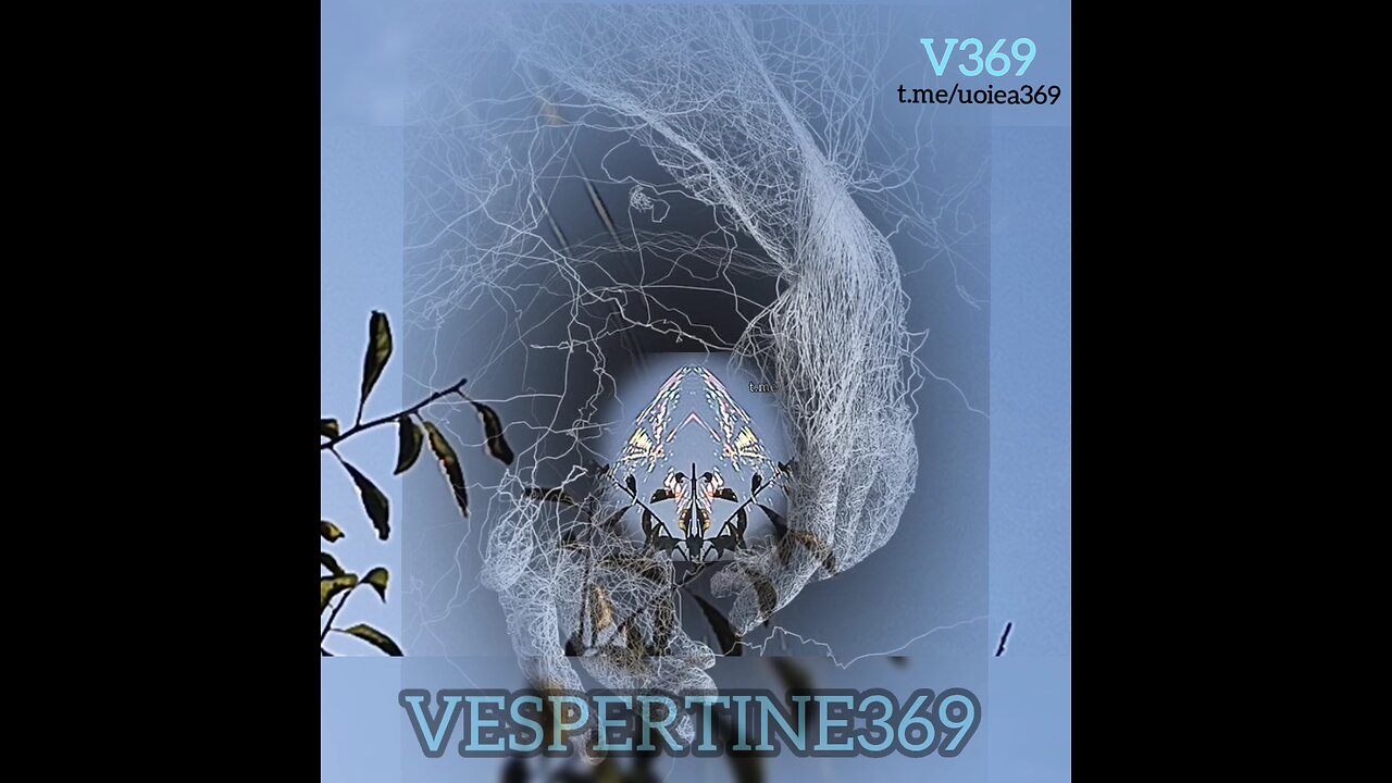VESPERTINE's WEB
