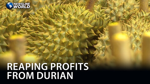 Former governor shares secret to success in durian business