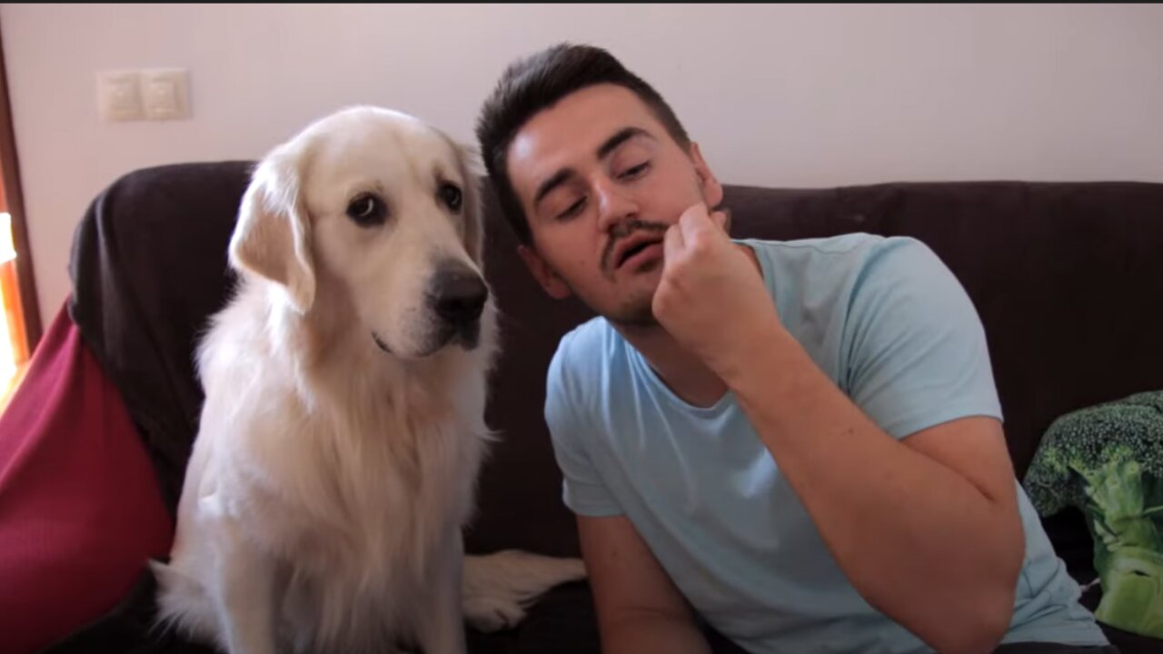 Funny Attempts to Get a Kiss From My Dog in Return for a Treats