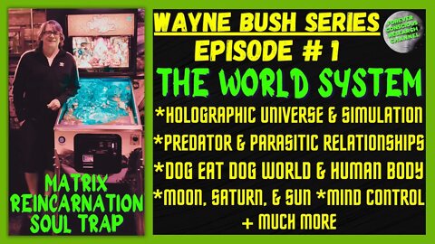 Ep1 Wayne Bush Series DEEP DIVE On The Structure of The World System Matrix Reincarnation Soul Trap