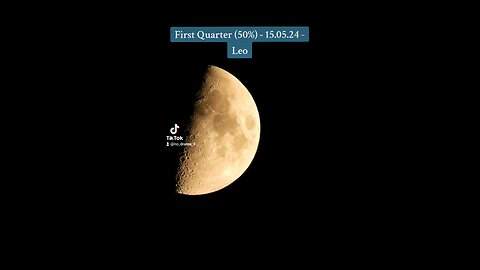 First Quarter (50%) - 15.05.24 - Leo