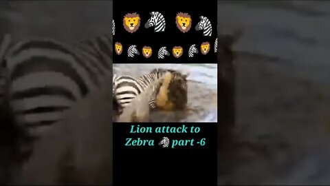 Lion attack to Zebra 2022,🦓 part - 6#shorts #youtubeshorts