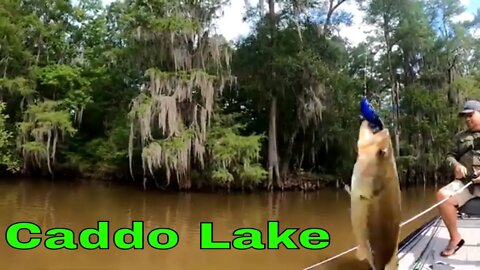 Good Time on Caddo Lake