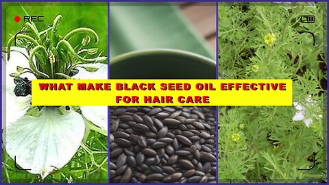 What Makes Black Seed Oil Effective for Hair Care