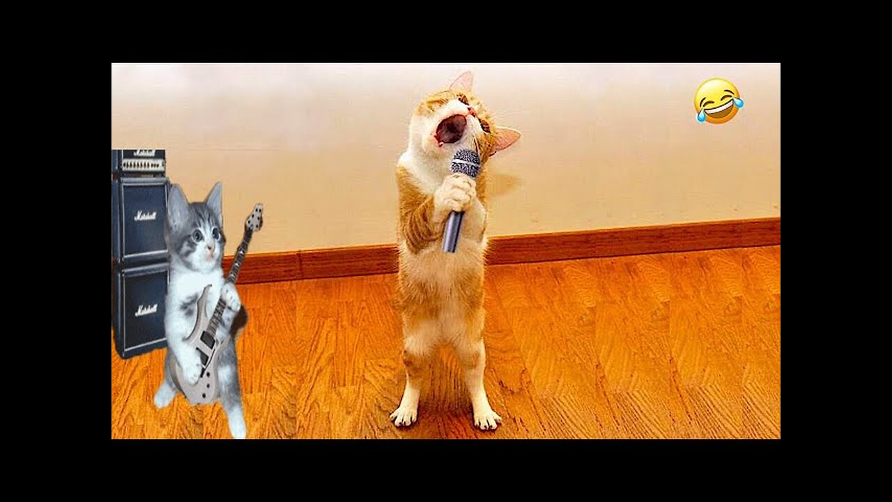 World Best Funniest🤣Cat vs animal vs Kid 🤼♂️ Entertainment Don't Try Laughing 🤣 2024 clips 🫡
