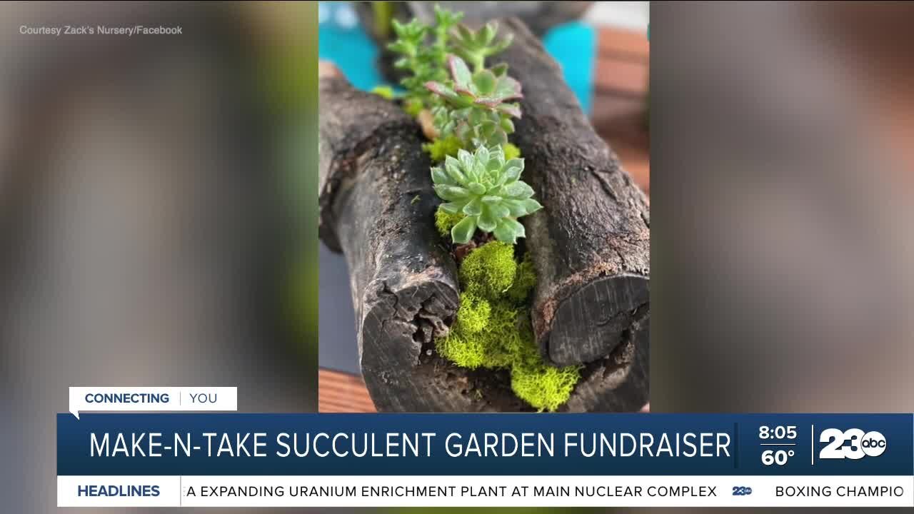 Make-N-Take Succulent Garden Fundraiser