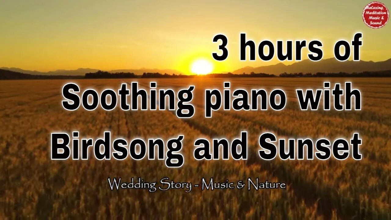 Soothing music with piano and birds singing for 3 hours, music that relief stress and mind