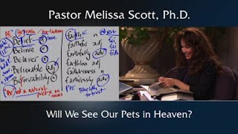 Will We See Our Pets in Heaven?