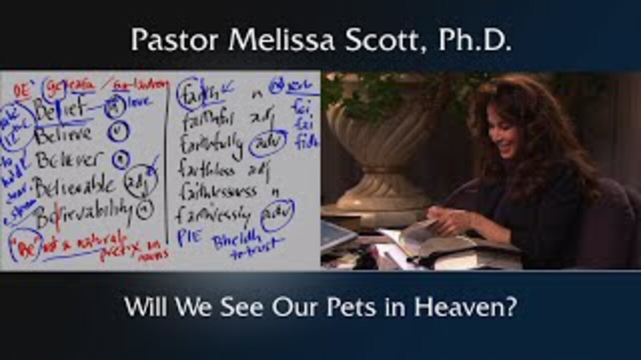 Will We See Our Pets in Heaven?