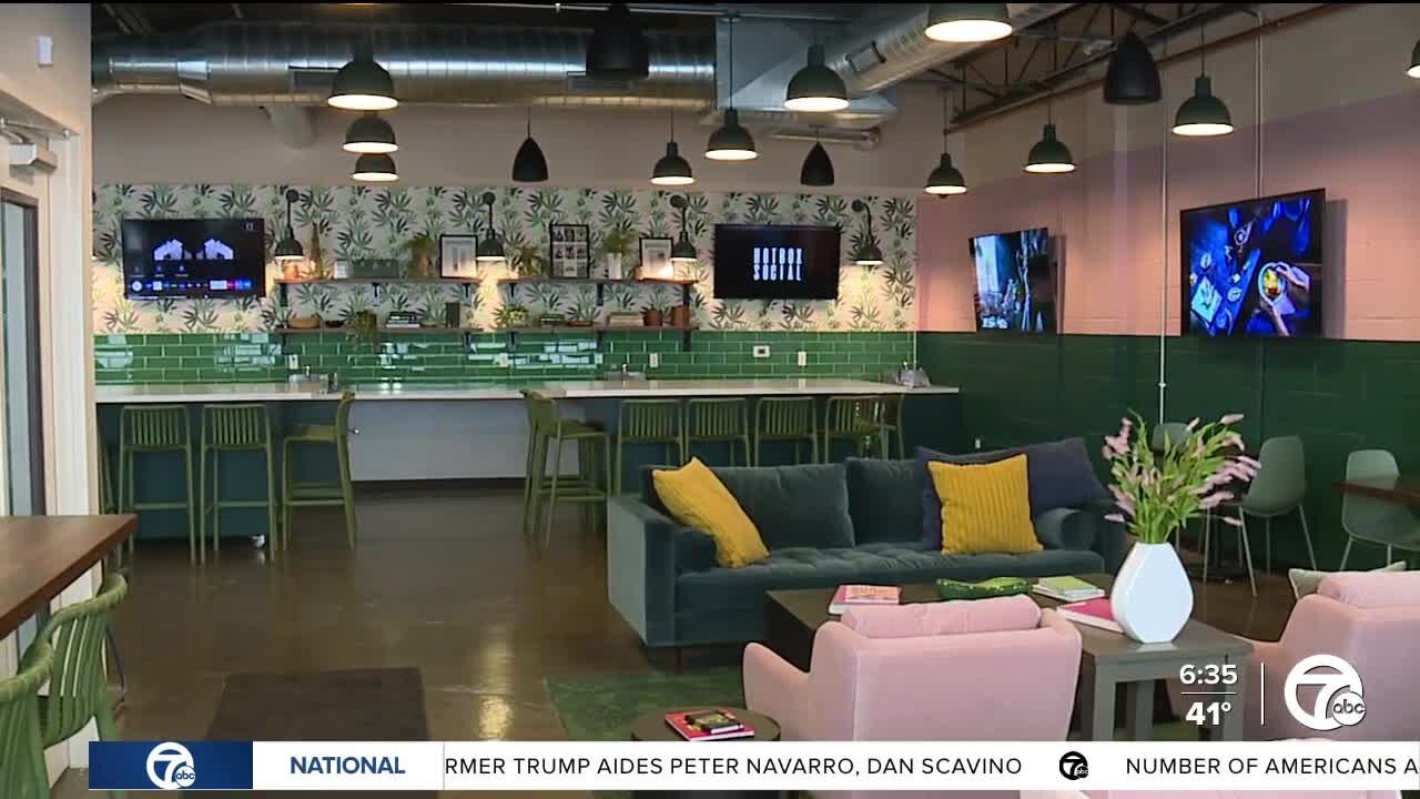 Inside Michigan's first-ever cannabis consumption lounge in Hazel Park