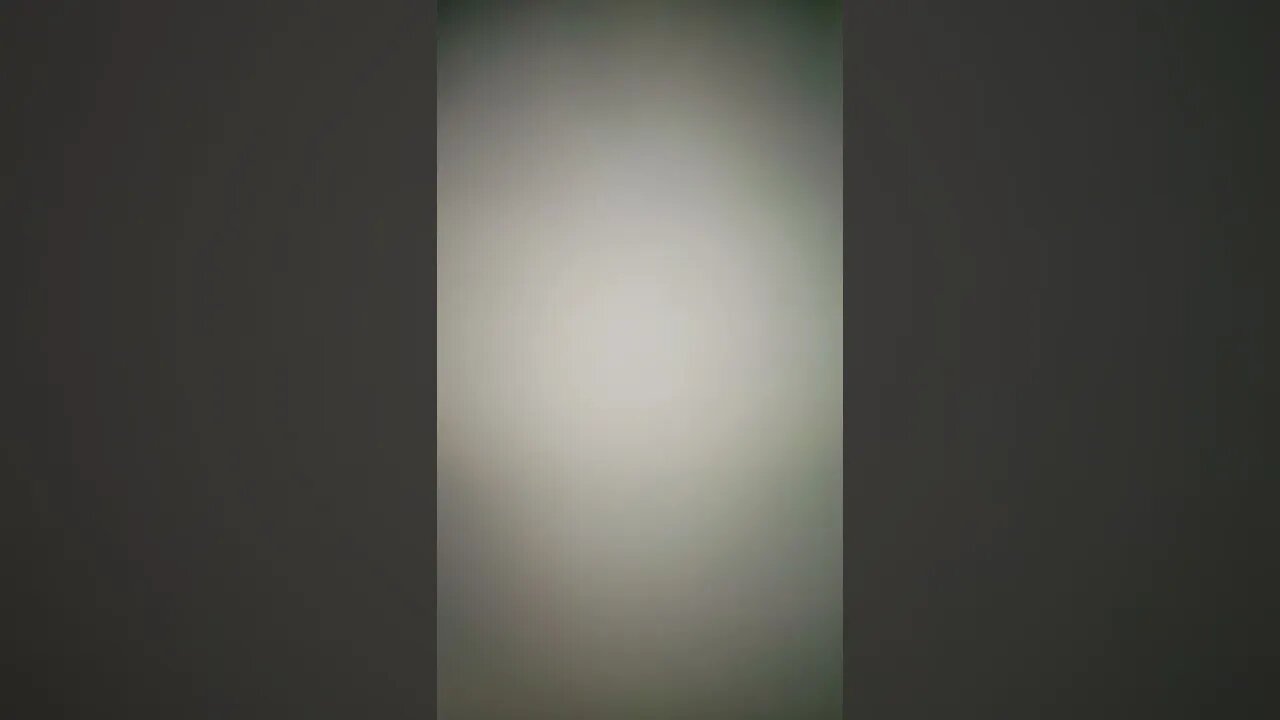 I Created Go Along To Get Along