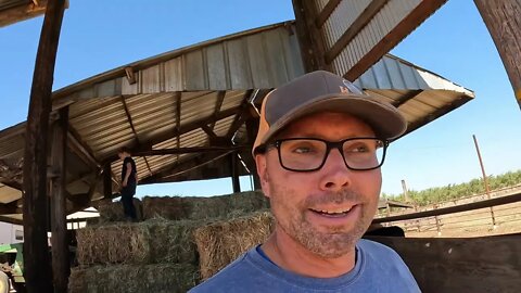HOW to Move Hay by Hand!!! TIPS TRICKS TOOLS.
