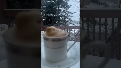 #snow #canada #trending #love #canadadiaries #canada #minivlog #minivlog #youtubeshorts