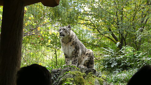 CENTRAL PARK ZOO, NEW YORK CITY (PHOTO)