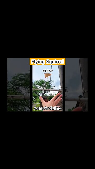 Watch Funny Flying Squirrel LEAP Jump #Aviation #Fly #AeroArduino