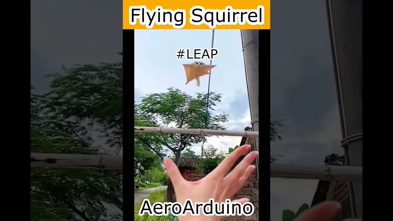 Watch Funny Flying Squirrel LEAP Jump #Aviation #Fly #AeroArduino