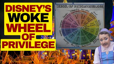 Woke Disney Busted For Wheel Of Privilege