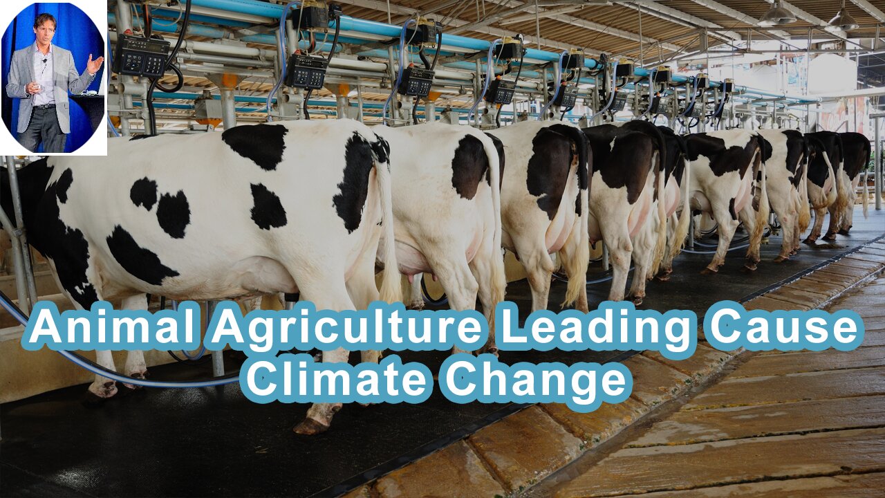 Animal Agriculture May Be The Leading Cause Of Climate Change