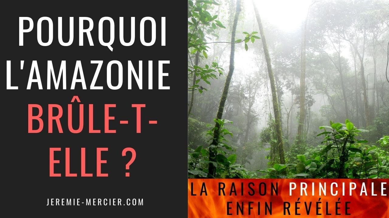 Pourquoi l'Amazonie brûle-t-elle ?