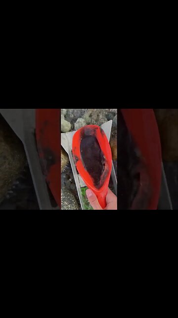 Finding Gold Sluicing in Blacksand Sand Seams!