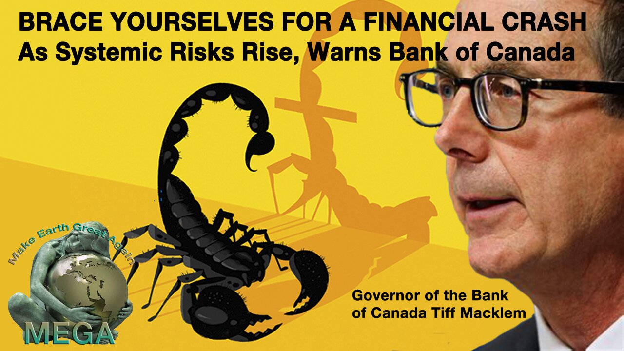 [With Subtitles] BRACE YOURSELVES FOR A FINANCIAL CRASH As Systemic Risks Rise, Warns Bank of Canada