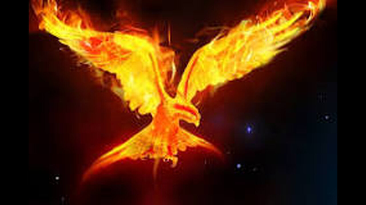 times of imbalance between Ying & Yang forge a rising Phoenix!