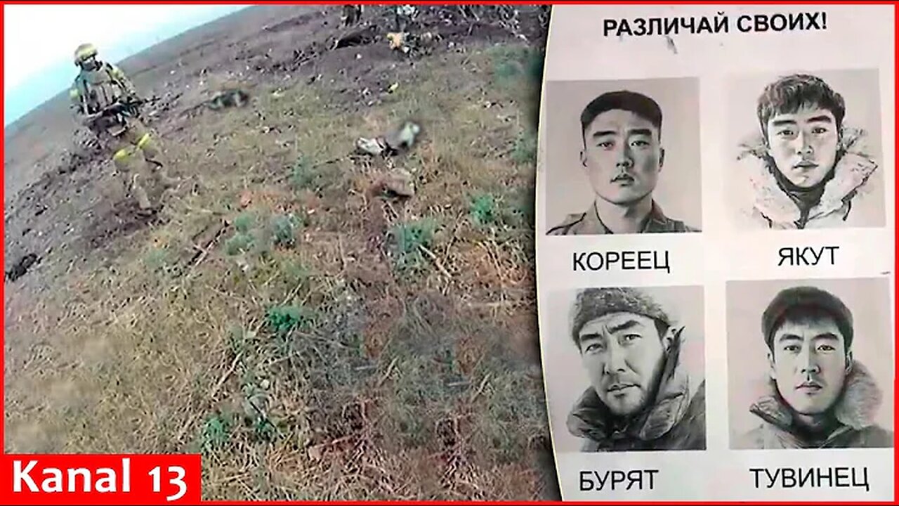 First video of killed North Korean soldiers at frontline: Ukrainian army shows footage from Selidovo