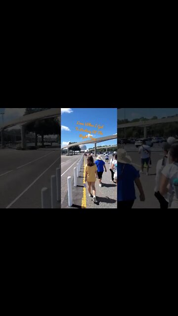 Timing is key to parking at Disney