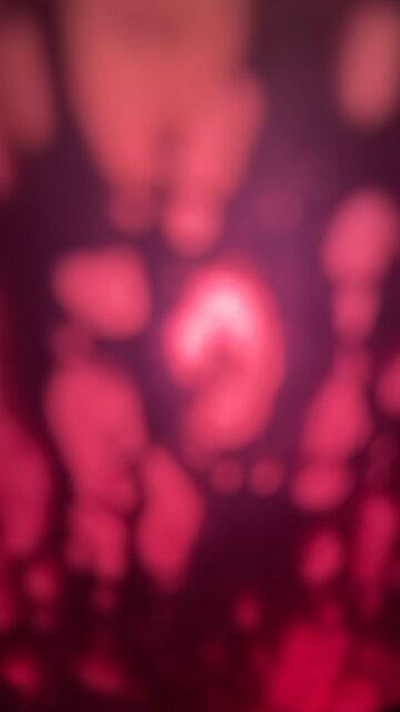 Night vibes with Spirit