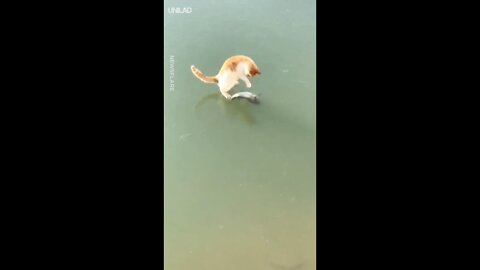 So close, yet so far...