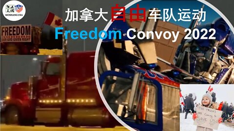 加拿大卡车司机擎天柱附体，拯救社会的最后还得是汽车人 Canada Truckers 2022 Freedom Convoy