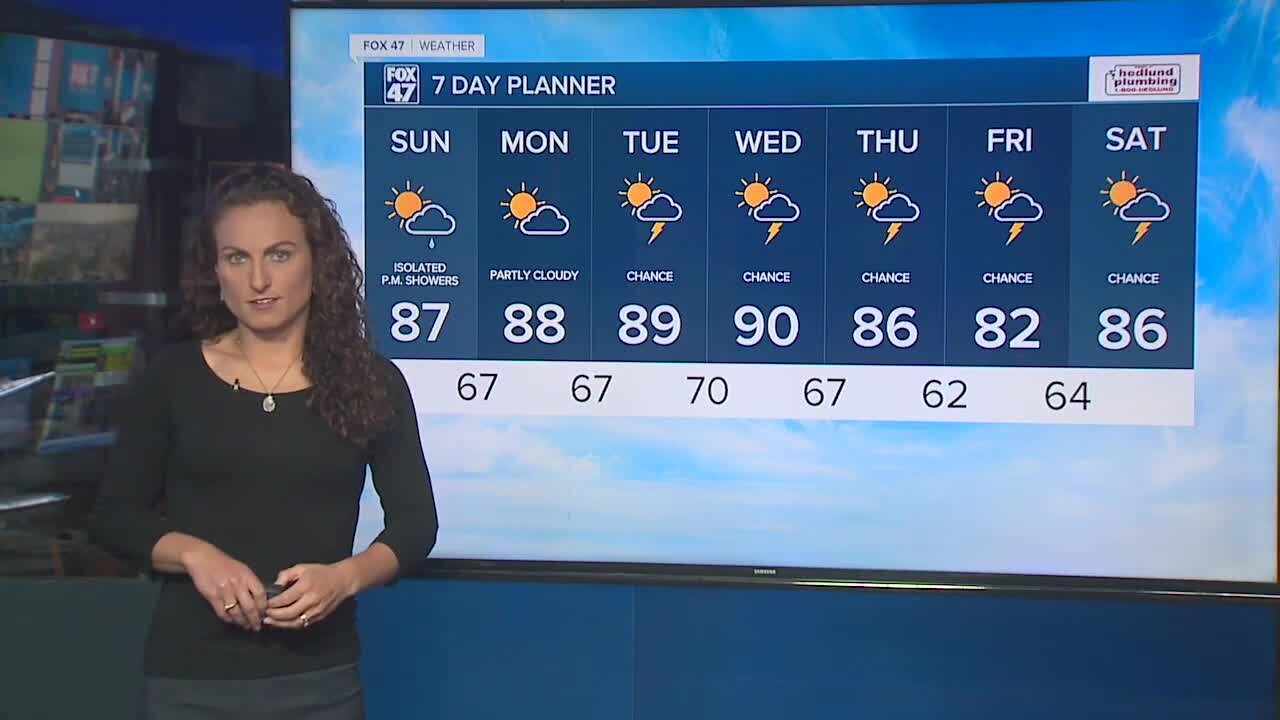Tonight's Forecast: Humid with a scattered shower