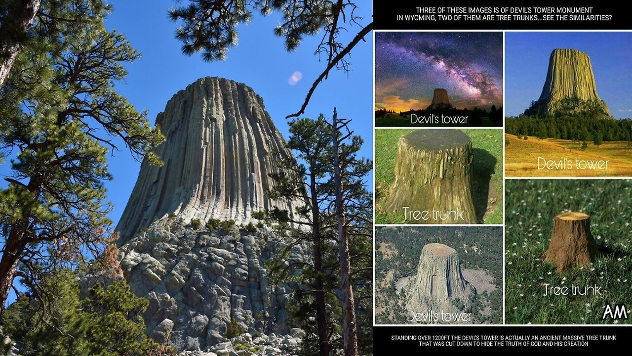 The Earth is Filled with Mountains - Actually GIANT TREES from BIBLICAL Times