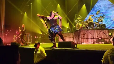 Evanescence in Houston song Take Cover