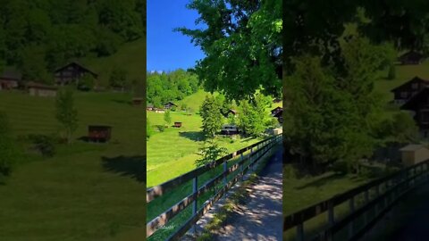 POR FAVOR INSCREVA ME AJUDA - PLEASE SUBSCRIBE HELP ME