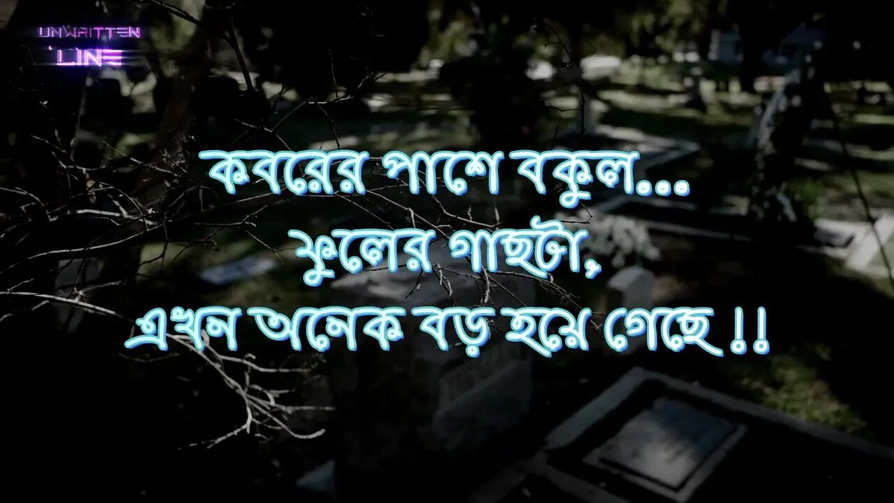 তুমিও দেশ ছেড়ে চলে গেলে স্বামীর সাথে | শেষ দেখা 🥀 | emotional love shayare | Unwritten Line