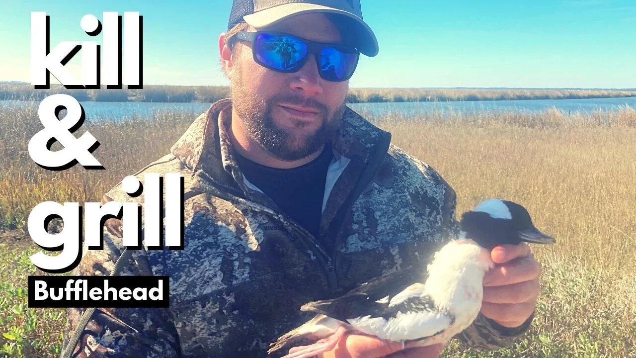 Tybee Island Duck Hunting {Bufflehead} Kill & Grill! *Georgia