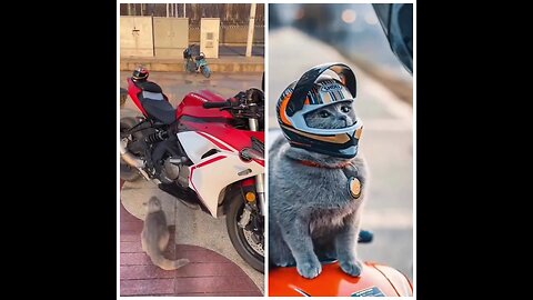 Best Rider Out There
