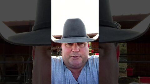 Hard times on the ranch