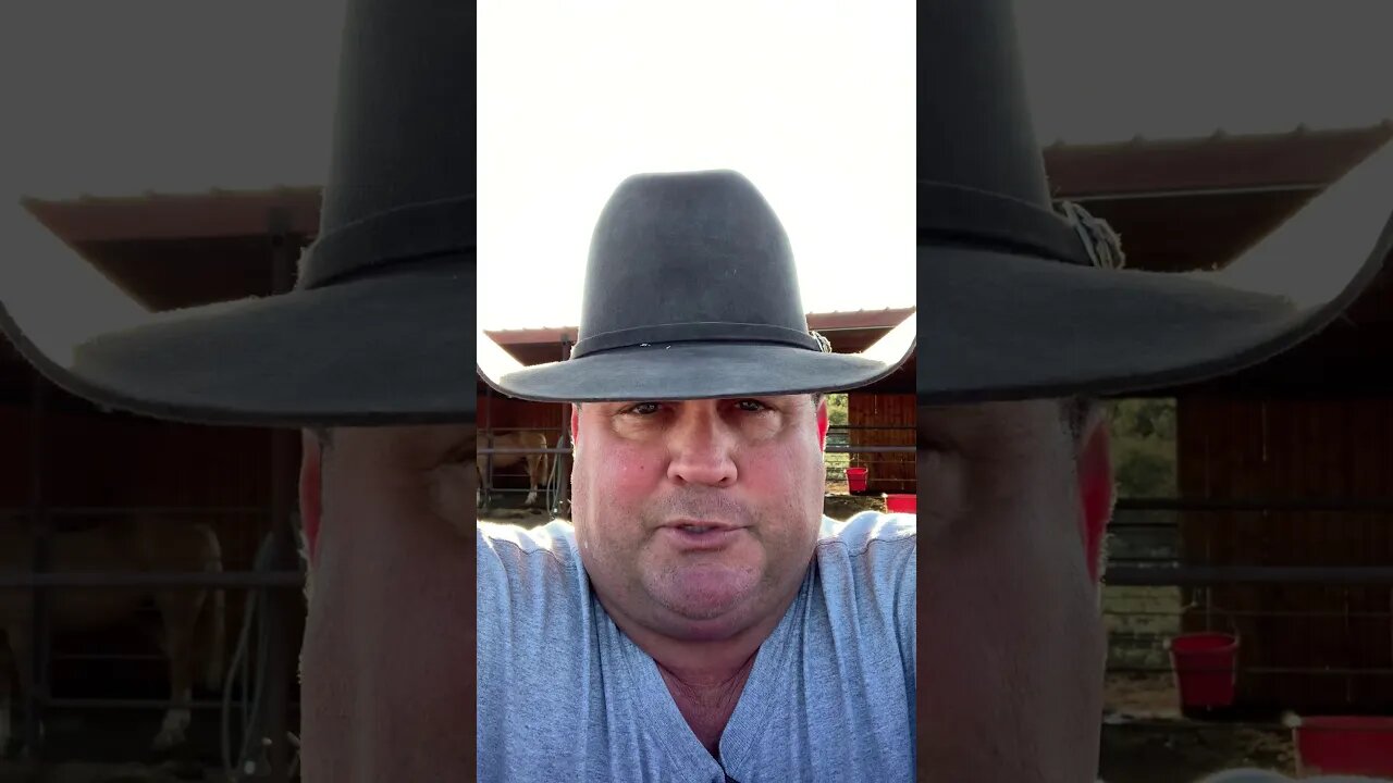 Hard times on the ranch