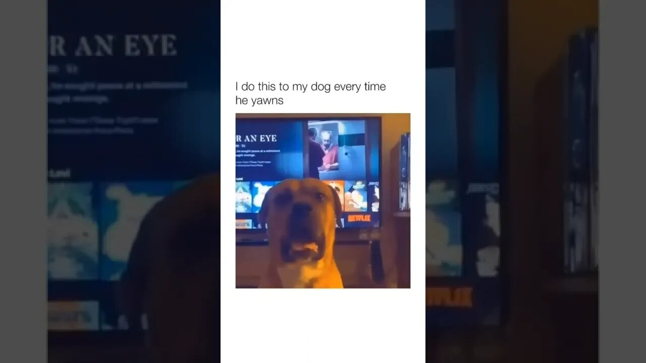 🥱😅🤣🤣🤣🤣