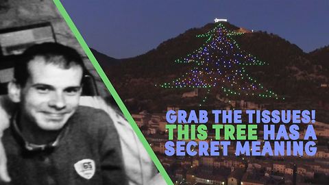 World's biggest Christmas tree helps heal hearts