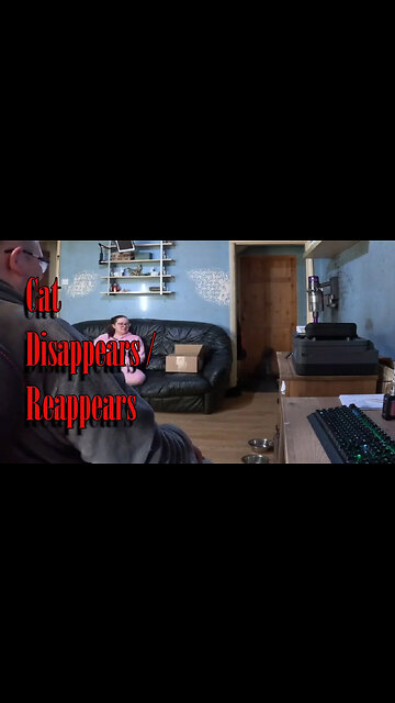 Cat disappears / reappears