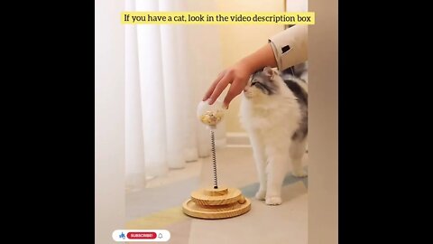 cute cat videos 😹 funny videos 😂72