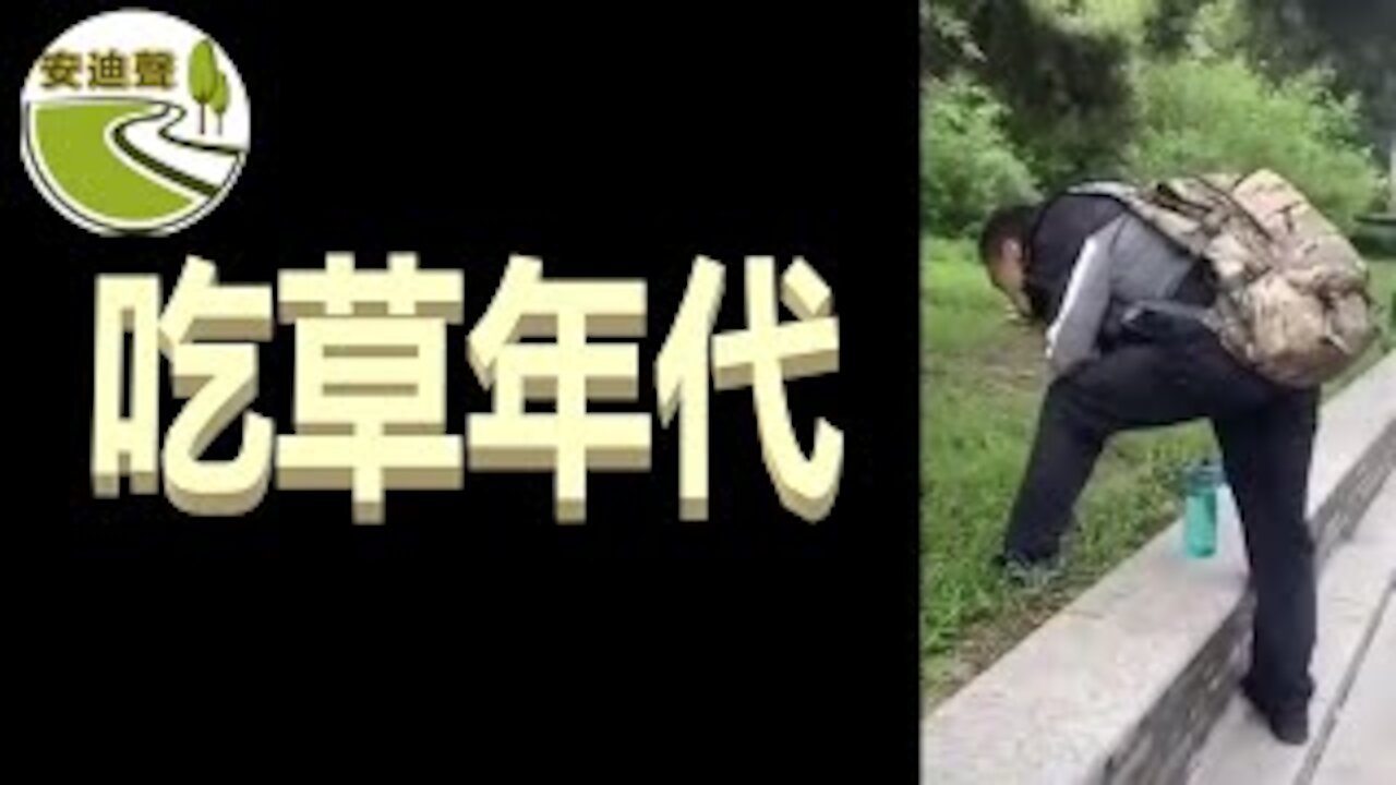 韭菜吃草.患病破家.文明国度.大病无忧【071721第755期】