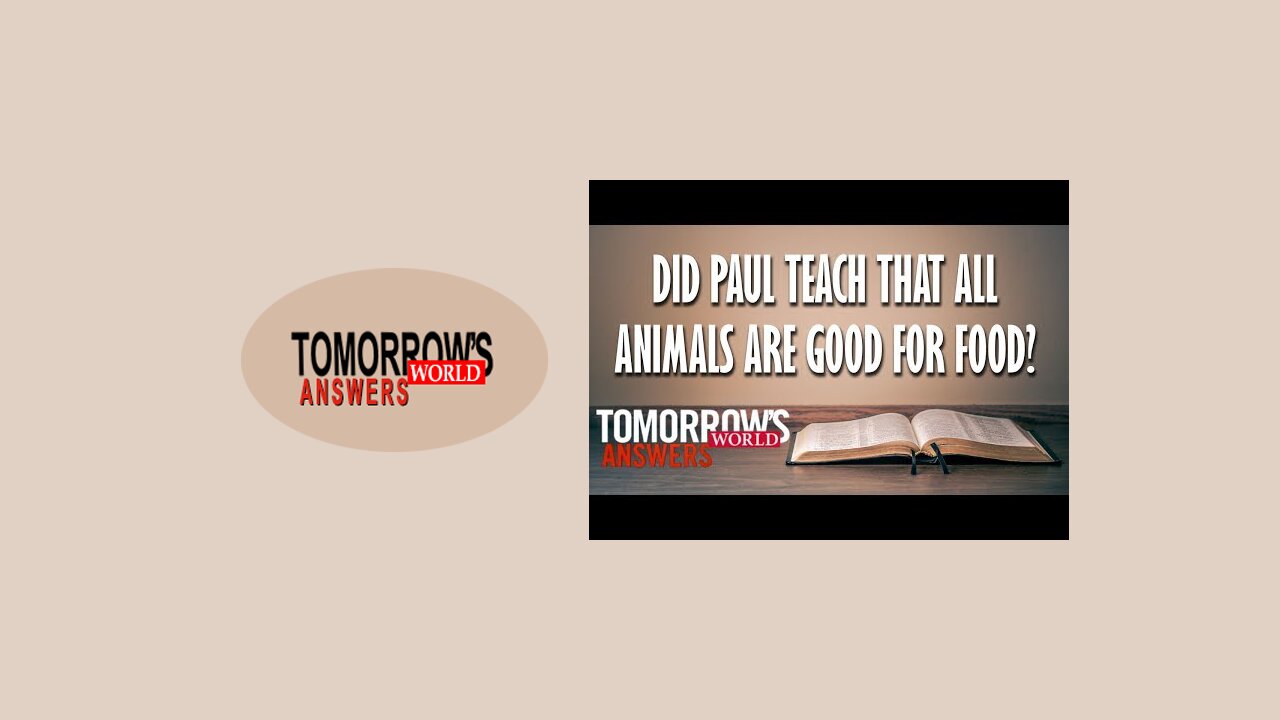 Did Paul Teach That All Animals Are Meant to be Eaten?