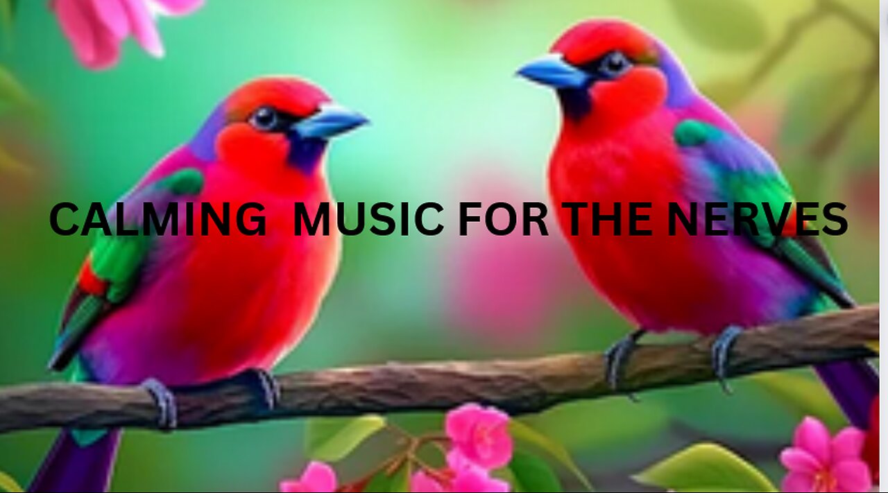 SOOTHING CALMING MUSIC TO RELAX YOUR NERVES WITH BIRDS SINGING ALONG